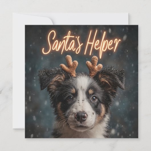 Schattige Border Collie Puppy als Santa's Helper Feestdagenkaart (Voorkant)