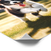 Schattige Border Collie puppy Poster (Hoek)