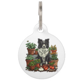 Schattige Border Collie Tuinieren Huisdierpenning