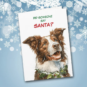 Schattige Border Collie zoekt naar Kerstman Feestdagen Kaart