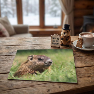 Schattige Bosmarmot die Groene Gras Fotografeert Briefkaart