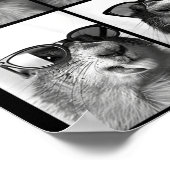 Schattige Bosmarmotten Sungles Cool Woud Dier Foto Poster (Hoek)