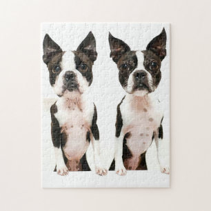 Schattige Boston Terrier Cartoon Dog Legpuzzel