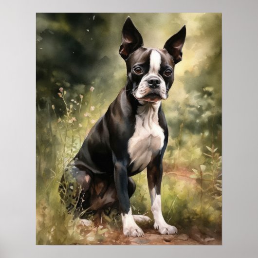Schattige Boston Terrier Dog Art Print Poster (Voorkant)