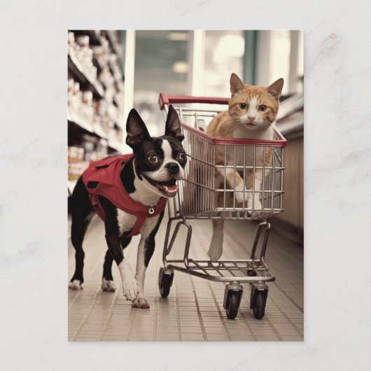 Schattige Boston Terrier en een Ginger Cat Shoppin Briefkaart (Voorkant)