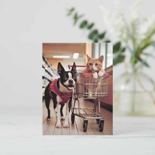 Schattige Boston Terrier en een kat gaan winkelen Briefkaart (Staand voorkant)