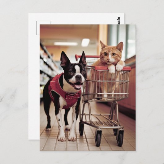 Schattige Boston Terrier en een kat gaan winkelen Briefkaart (Voorkant / Achterkant)