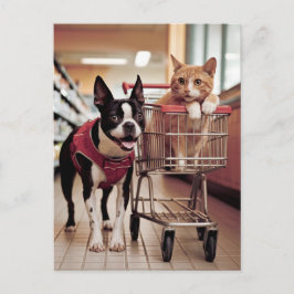 Schattige Boston Terrier en een kat gaan winkelen Briefkaart