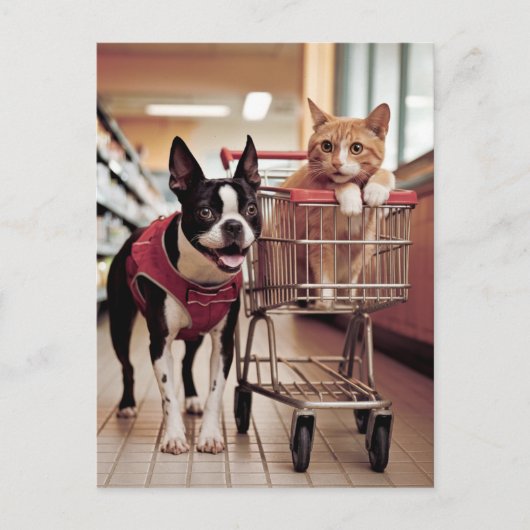 Schattige Boston Terrier en een kat gaan winkelen Briefkaart (Voorkant)