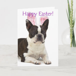 Schattige Boston Terrier Pasen kaart