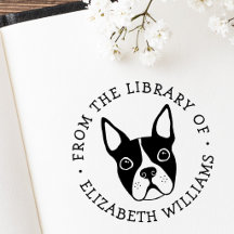 Schattige boston terriër uit de bibliotheek van de