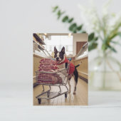 Schattige Boston Terrier-winkels voor vlees Briefkaart (Staand voorkant)