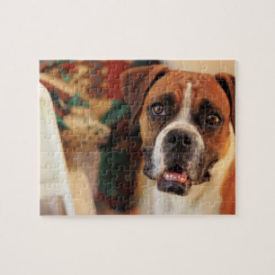 Schattige Boxer Legpuzzel
