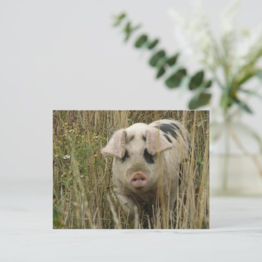 Schattige Briefkaart (Staand voorkant)