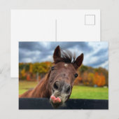 Schattige briefkaart (Voorkant / Achterkant)