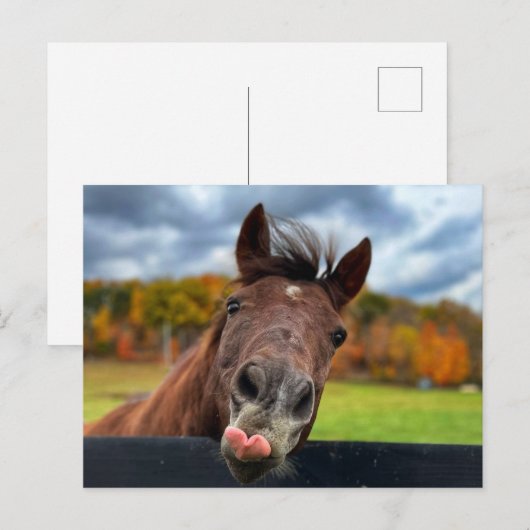 Schattige briefkaart (Voorkant / Achterkant)