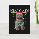 Schattige Britse Korthaar Kat Grappig Kerstvakanti Kaart (Voorkant)