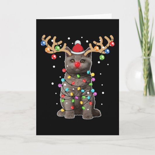 Schattige Britse Korthaar Kat Grappige Kerst Vakan Kaart (Voorkant)