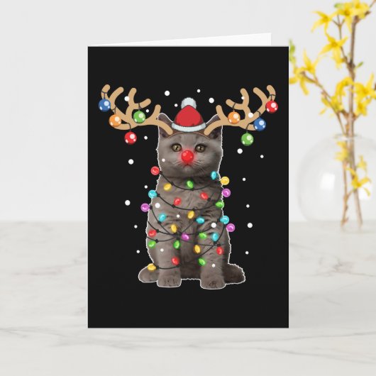 Schattige Britse Korthaar Kat Grappige Kerst Vakan Kaart (Gele Bloem)