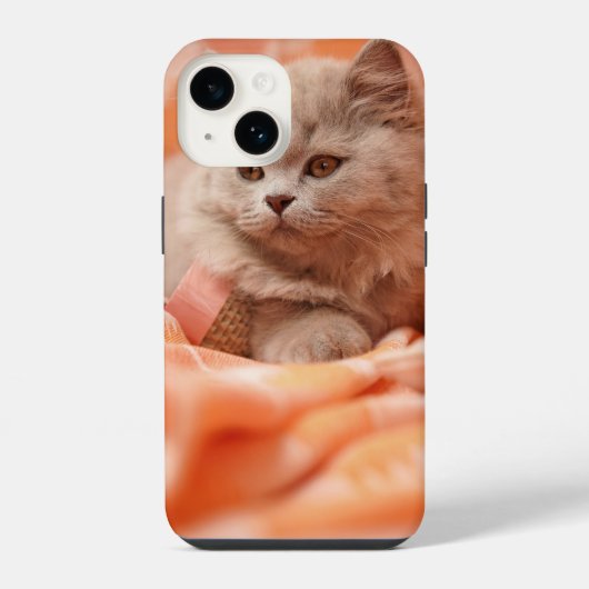Schattige Britse Korthaar Kat iPhone Hoesje (Achterkant)
