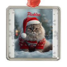 Schattige Britse Korthaar Kat Kerst Persoonlijk