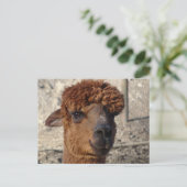 Schattige Bruin Alpáca DIY Briefkaart (Staand voorkant)