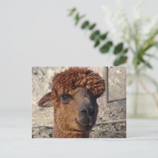 Schattige Bruin Alpáca DIY Briefkaart (Staand voorkant)