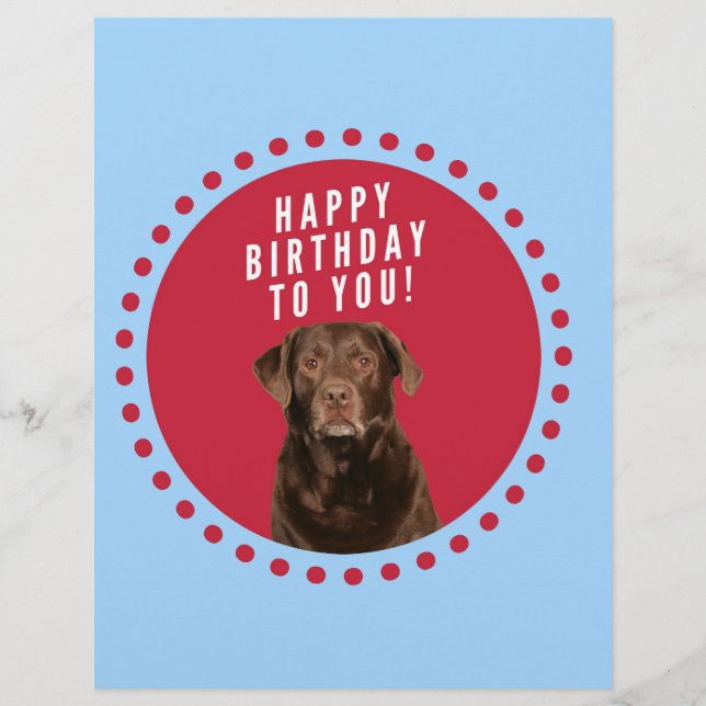 Schattige bruin labrador retriever dog happy birth (Voorkant)