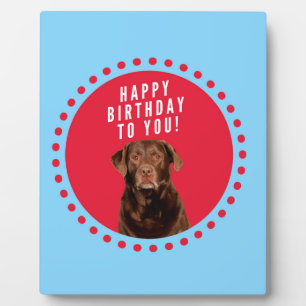 Schattige bruin labrador retriever dog happy birth fotoplaat