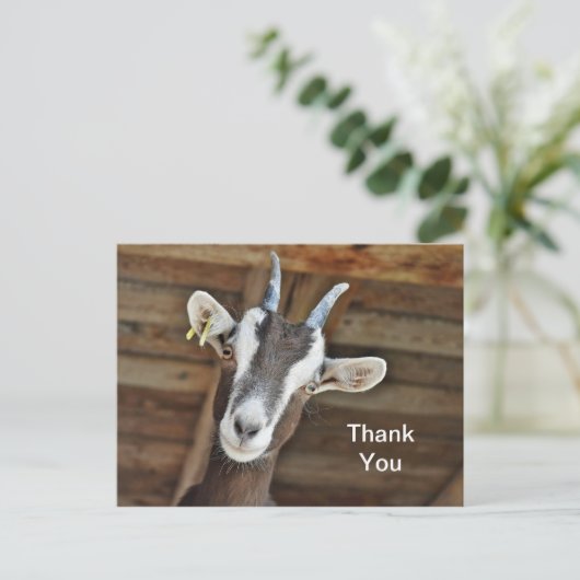 Schattige bruine en witte geit foto dank je wel briefkaart (Staand voorkant)