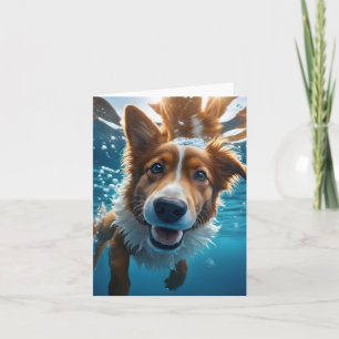 Schattige bruine en witte hond onderwater zwemmend kaart