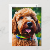 Schattige bruine poedel briefkaart (Voorkant / Achterkant)