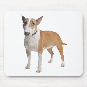 Schattige Bull Terrier Moeder Puppy Vader Hond Lie Muismat