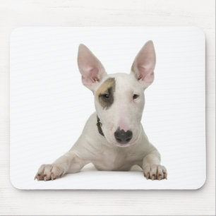 Schattige Bull Terrier Moeder Puppy Vader Hond Lie Muismat