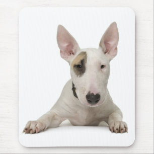 Schattige Bull Terrier Moeder Puppy Vader Hond Lie Muismat