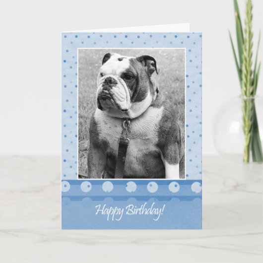 Schattige Bulldog Happy Birthday Blue dot Wenskaar Kaart (Voorkant)