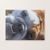 Schattige Bulldog Legpuzzel (Horizontaal)