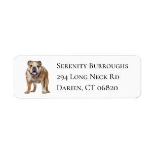 Schattige Bulldog Liefhebber Puppies Hond Moeder E Etiket