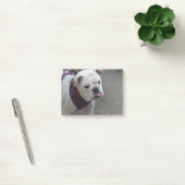 Schattige Bulldog Post-it® Notes (Kantoor)
