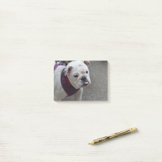 Schattige Bulldog Post-it® Notes (Op bureau)