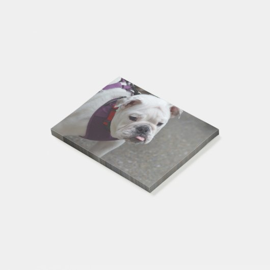 Schattige Bulldog Post-it® Notes (Schuin)