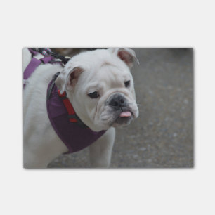 Schattige Bulldog Post-it® Notes