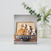 Schattige Bulldog Pups | Hond Liefhebber Kaart (Staand voorkant)