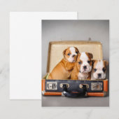 Schattige Bulldog Pups | Hond Liefhebber Kaart (Voorkant / Achterkant)