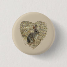 Schattige Bunny die in groot hartdier zit