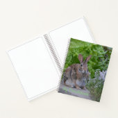 Schattige Bunny Doodle Boek (Binnen)