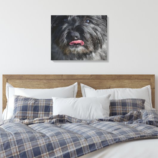 Schattige Caïro Terrier Canvas Afdruk (Insitu (Slaapkamer))