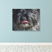 Schattige Caïro Terrier Canvas Afdruk (Insitu (Houten vloer))