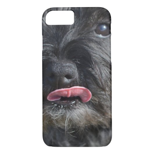 Schattige Caïro Terrier Case-Mate iPhone Case (Achterkant)