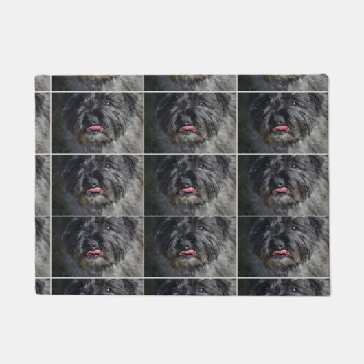 Schattige Caïro Terrier Deurmat (Voorkant)